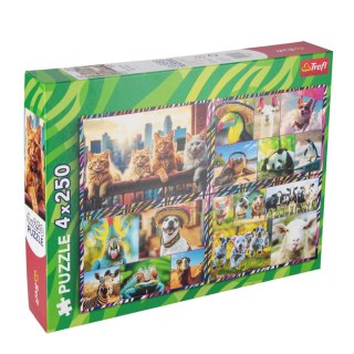 Puzzle 4x250 Zabawne zwierzaki ZOO TREFL 13313 TR