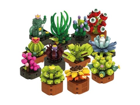 KLOCKI KONSTR KWIATY SUKULENT MIX 8X4X8CM DISP24