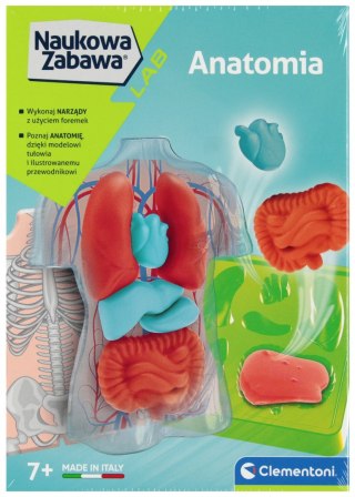 Clementoni Anatomia zestaw kreatywny 50252