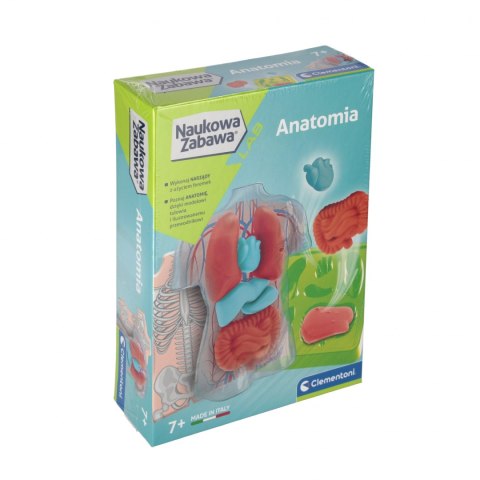 Clementoni Anatomia zestaw kreatywny 50252