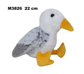 PLUSZAK MEWA 22CM SIEDZACA SA