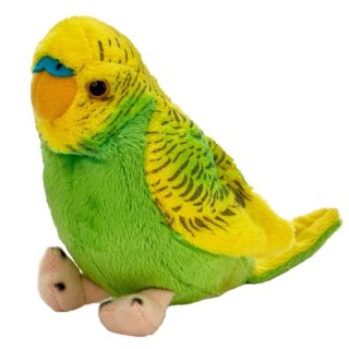 Pluszak Papuga falista 13cm zie/żółta BEPPE 13728 BS