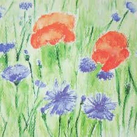 Blok do akwareli A4 250 g 10 arkuszy Student fakturowany CANSON 200005506