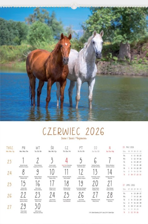 Kalendarz 13 planszowy A3 konie w obiektywie LUCRUM RW14