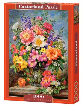 1000 elementów June Flowers in Radiance CASTORLAND C-103904