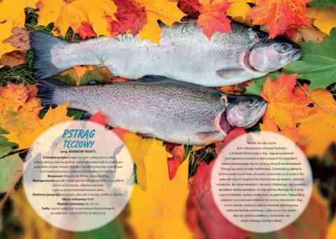 Kalendarz 13 planszowy A4 Wędkarski LUCRUM WL14