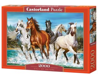 Puzzle 2000 elementów Call of Nature CASTORLAND C-200702