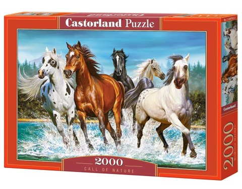 Puzzle 2000 elementów Call of Nature CASTORLAND C-200702