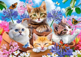 Puzzle 500 elementów Kittens with Flowers CASTORLAND B-53513