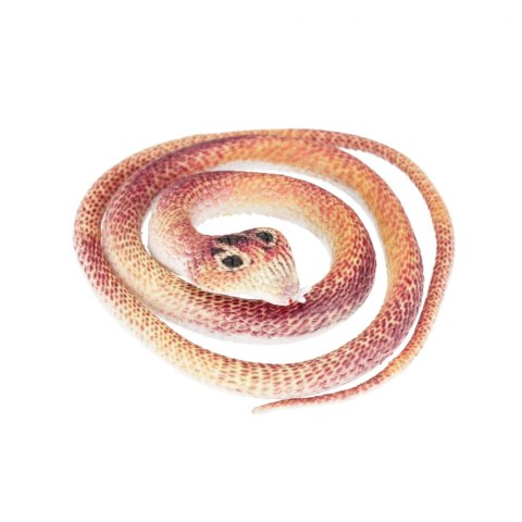 Zwierzęta gumowe Wąż 70cm mix MEGA CREATIVE 571184