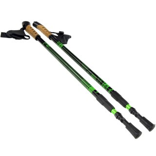 Kijki Nordic Walking Scout Bjorn zielone 3cz