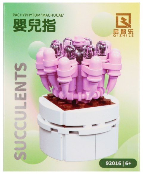 Klocki konstrukcyjne Kwiatuszek mix MEGA CREATIVE 573955