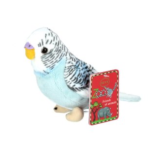 Pluszak Papuga falista 13cm niebieska BEPPE 13729 BS