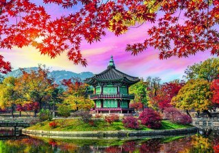 Puzzle 500 el. Gyeongbokgung Palace, Seoul, South Korea CASTORLAND B-54138