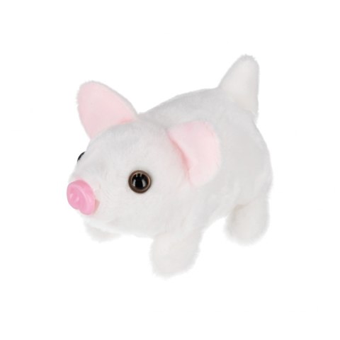 Świnka pluszowa 16cm mix MEGA CREATIVE 574071