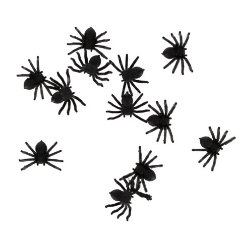 Zwierzęta Pająki MEGA CREATIVE 572646