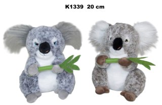 PLUSZAK KOALA 20CM 2KOL SIEDZACY SA