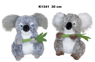 PLUSZAK KOALA 30CM 2KOL SIEDZACY SA