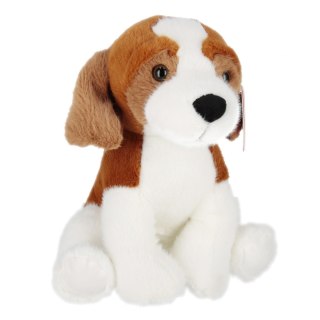 Pluszak pies Beagle 25cm siedzący BEPPE 14188 BS