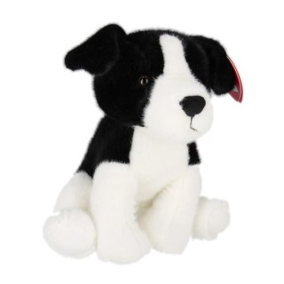 Pluszak pies Border Collie 25cm bia/czarny BEPPE 14186 BS
