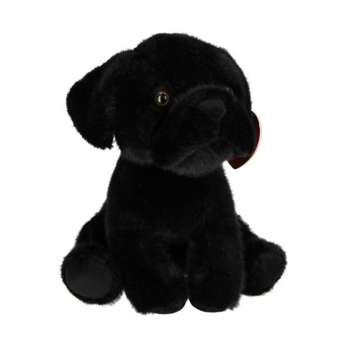 Pluszak pies Buldog 25cm czarny BEPPE 14187 BS