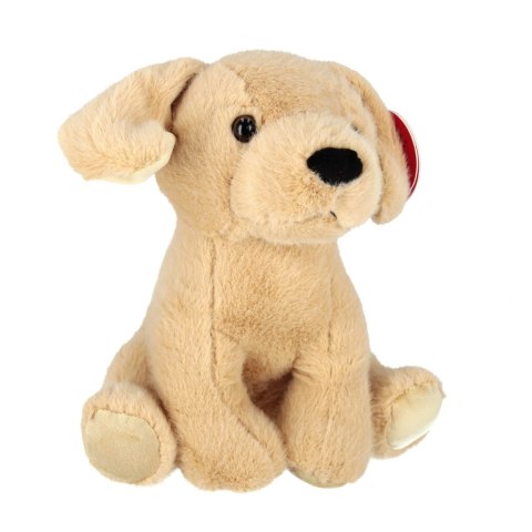 Pluszak pies Golden Retrever 25cm biszkopt BEPPE 14185 BS