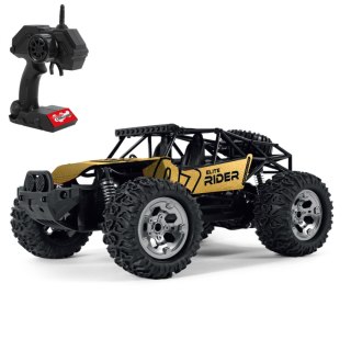 AUTO TEREN MET R/C FF LAD 45X19X26 ELITE RIDER