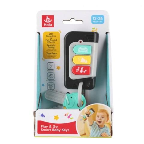 Elektroniczne kluczyki B/O 17x5x48 Hola ANEK HE8968