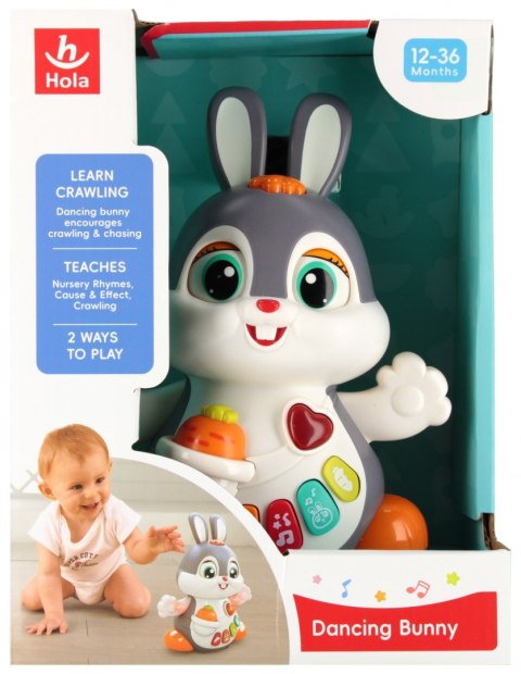 Królik tańczący interaktywny 23x18x13 hola ANEK HE9991