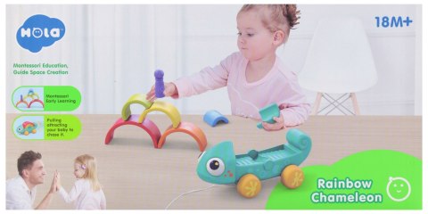 Układanka tęczowa kameleon 28x13x14 hola ANEK SN791