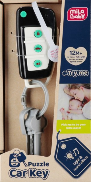 Kluczyki z pilotem SWEDE Q12140