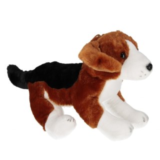 Pluszak Pies 35cm siedzący Beagle DEEF 04297 DE