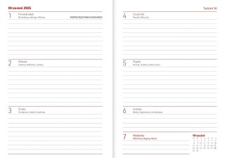 KALENDARZ NAUCZY B6T PCV BEZBARWNY WN 089B KOTY