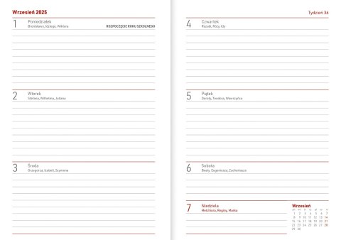 KALENDARZ NAUCZY B6T PCV BEZBARWNY WN 089B KOTY