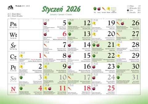 Kalendarz 13 planszowy Ogródki przydomowe LUCRUM WL13