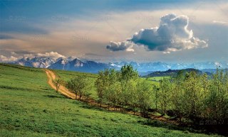 Kalendarz trójdzielny 86x33cm Wiosna LUCRUM KT04