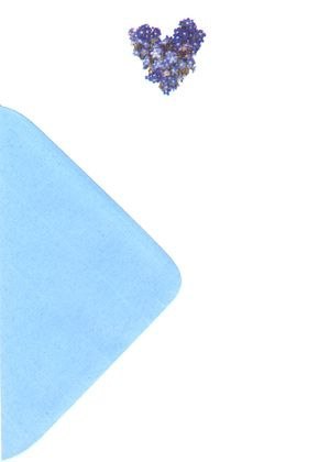 Papeteria A5 3koperty/3kartki Niezapominajki II LOGOS 1118