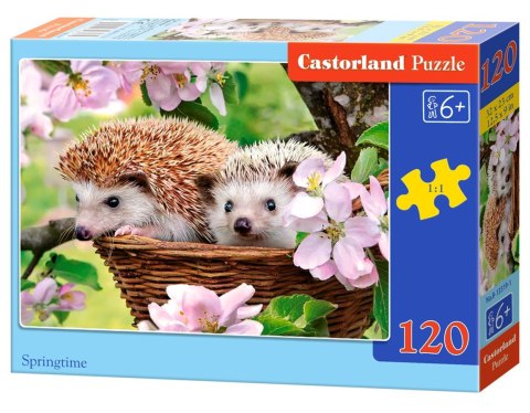 Puzzle 120 elementów Springtime CASTORLAND B-13319