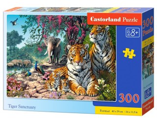 Puzzle 300 elementów Tiger Sanctuary CASTORLAND B-030484
