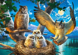 Puzzle 500 elementów Owl Family CASTORLAND B-53322