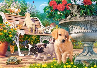 Puzzle 500 elementw Hide and Seek CASTORLAND B-53636