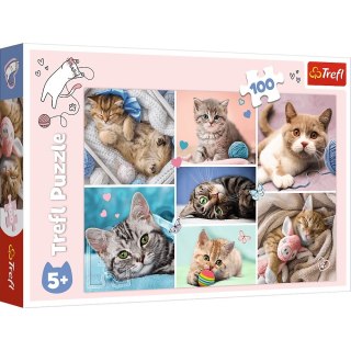 Puzzle 100 elementów W kocim świecie TREFL 16420