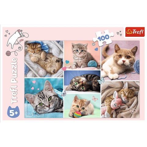Puzzle 100 elementów W kocim świecie TREFL 16420