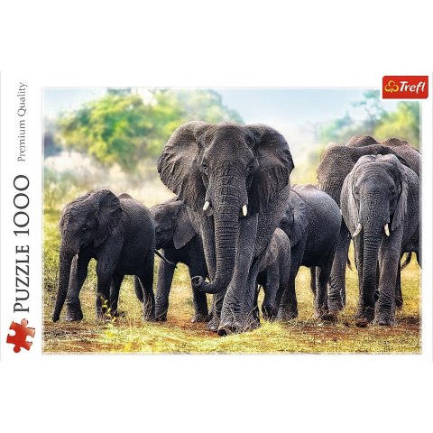 Puzzle 1000 elementów Afrykańskie Słonie TREFL 10442 TR