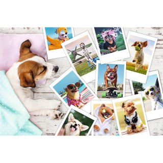 Puzzle 300 elementów Zdjęcia z wakacji TREFL 23003 TREFL