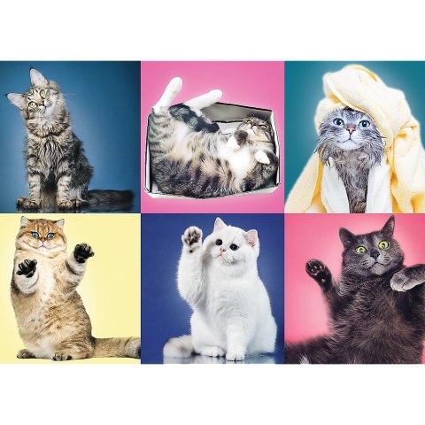 Puzzle 500 elementów Kociaki TREFL 37377