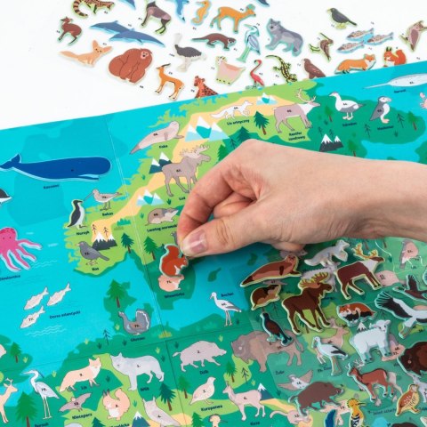 ZEST KREAT WYKLEJ ZWIERZETA EUROPY GRA KIDEA PUD