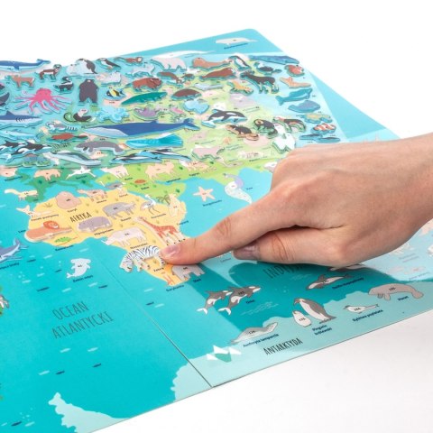 ZEST KREAT WYKLEJ ZWIERZETA SWIATA GRA KIDEA PUD