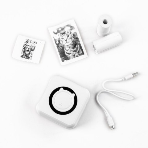 DRUKARKA TERMICZ BLUETOOTH 14X10X5 KIDEA B PUD