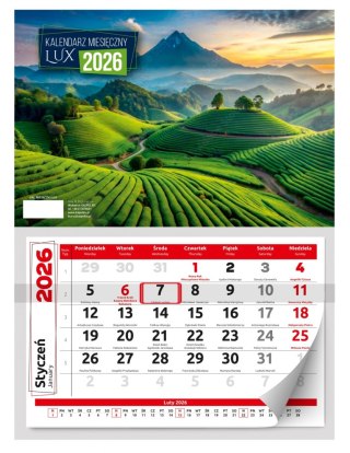 Kalendarz jednodzielny 29x39 cm Lux KALPOL BIS 474513 KAL